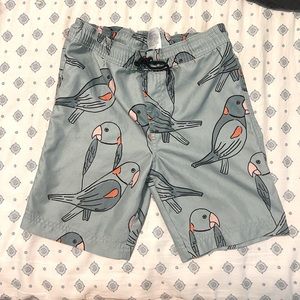 Tea Collection Swim Trunks